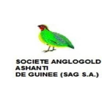 SOCIETE ANGLOGOLD ASHANTI DE GUINEE